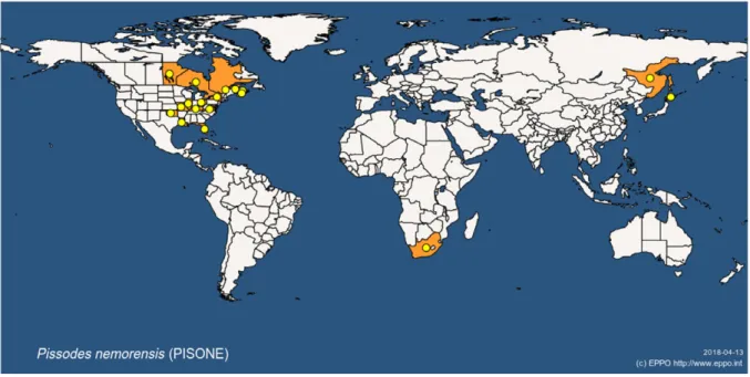Figure 1: Global distribution map for Pissodes nemorensis (extracted from the EPPO Global Database accessed on 13 April 2018)
