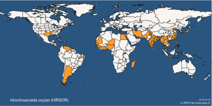 Figure 1: Global distribution map for H. oryzae (extracted from the EPPO Global Database accessed on 1.3.2018)