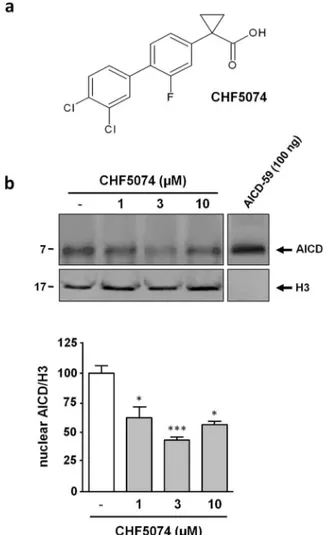 Figure 1 | CHF5074 lowers AICD nuclear levels in H4swe cells.