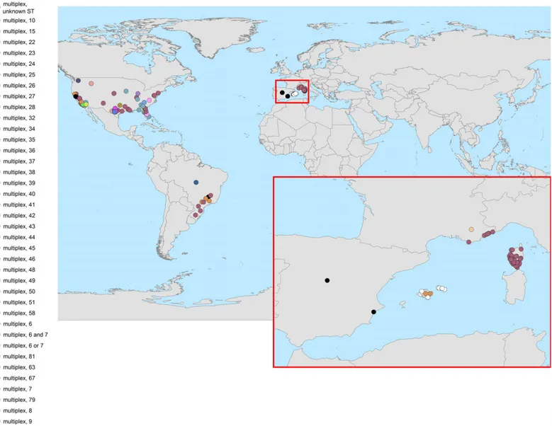 Figure 1: Worldwide distribution of the X. fastidiosa subsp. multiplex and associated sequence type on the basis of the Xylella host plant database (EFSA, 2018)