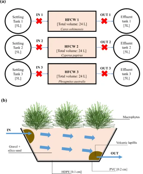 Figure 1. (a) Scheme of the preliminary laboratory-scale plant. The red crosses indicate the sampling  points; (b) Side view of the horizontal flow constructed wetland (HFCW) laboratory-scale plant and  pilot-scale plant