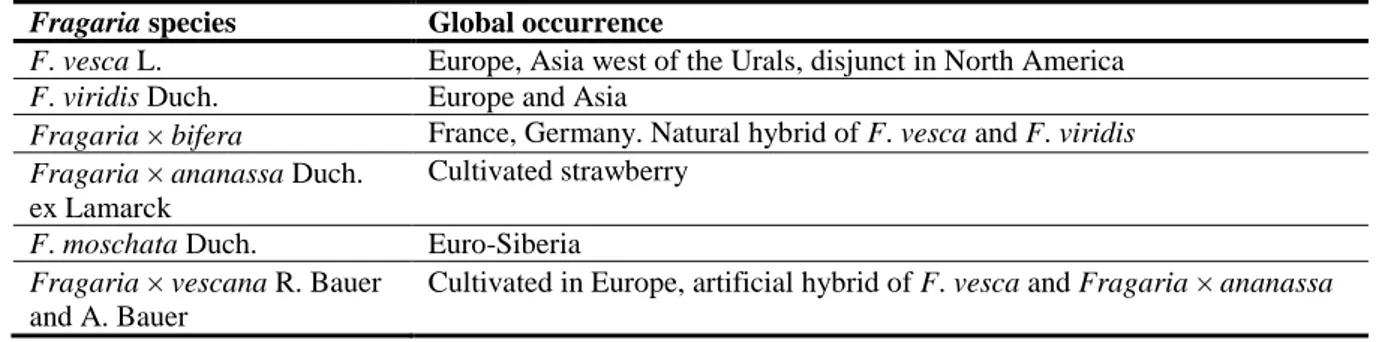 Table 1:   A recent study lists species of Fragaria that occur in Europe (Hummer et al., 2011) 
