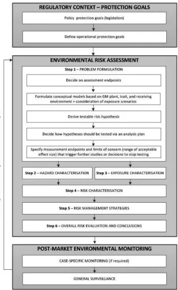 Figure 3: Schematic diagram representing the key steps of the environmental risk assessment (ERA) of genetically modi ﬁed (GM) organisms, and the interplay between protection goals outlined in the legislation, ERA and post-market environmental monitoring