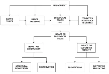 Figure 4: The Panel on Plant Health approach to assessing the effect of invasive alien species on ecosystem services