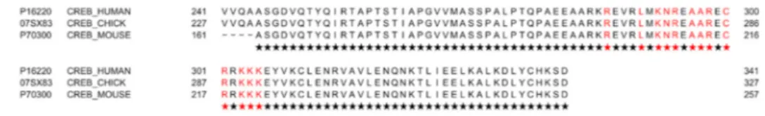 Figure 2. Alignment of cAMP response element-binding protein (CREB) protein sequences from  human, mouse, and chicken origin