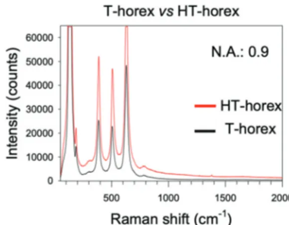 Fig. 5 Raman spectra of 3D colloidal crystals made of T-horex (black) and HT-horex (red)