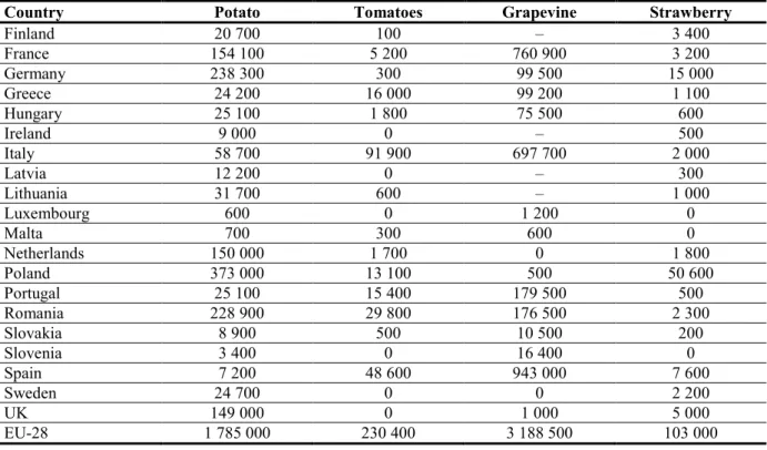 Table 6:   Distribution  of  lavender  (Lavandula  angustifola),  a  cultivated  host  of  CPs,  as  well  as 