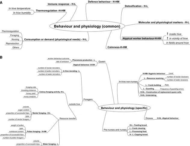 Figure 7: Mind map of common (A) and caste-speciﬁc (B) behaviour and physiology of honeybees – identiﬁed indicators and corresponding scores