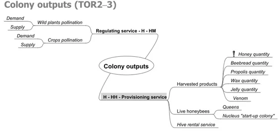 Figure 13: Mind map outputs of the colony: provisioning and regulating services – identiﬁed factors and corresponding scores
