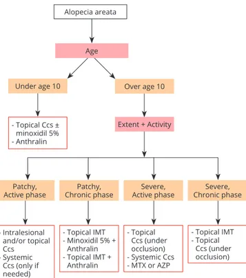 Figure 2.—treatment algorithm for the management of alopecia areata. Ccs: corticosteroids; imt: immunotherapy; mtX: methotrexate; aZP:  azathioprine