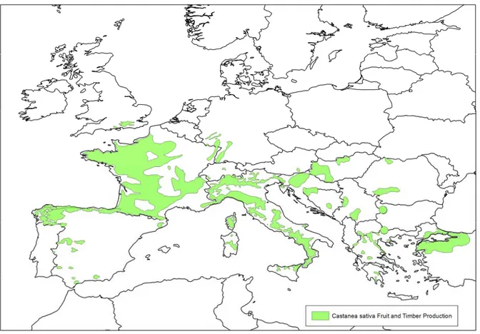 Figure 3:   Distribution of Castanea sativa in Europe for fruit and timber production (data from  EUFORGEN (European Forest Genetic Resources Programme), based on Conedera et al., (2004a),  and the information from Bulgaria (Dimitrova, 2008; Glushkova, 200