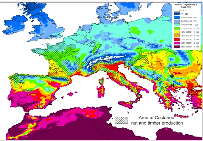 Figure 5:   Annual degree days base 10 °C for 1961-90 (New et al., 2002) and the area of Castanea  sativa nut and timber production in Europe from EUFORGEN 