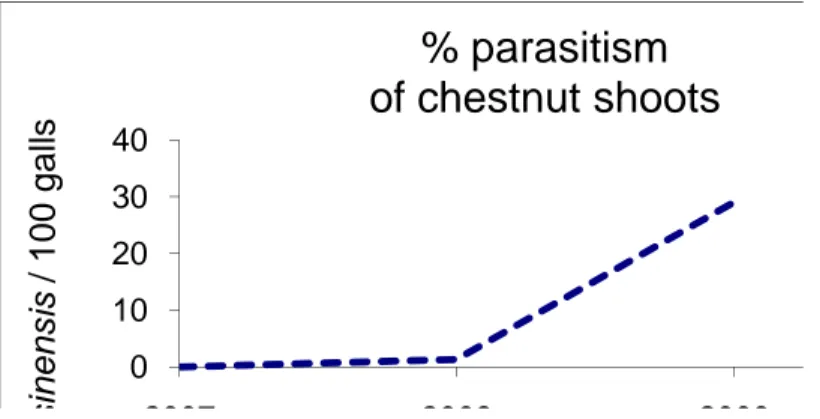 Figure 8:   Results from the Robilante site on percentage parasitism of chestnut shoots (Ambra  Quacchia, pers