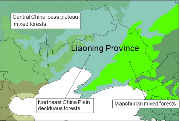 Figure B9:   Terrestrial Biomes in Liaoning Province, China (based on data from Olson et al.,  2001) 