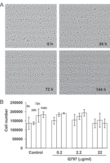 Fig. 3. Inﬂuence of Q797 on the monolayer of endothelial cells. HUVEC were cultured in cM199 medium in the presence or absence of various concentrations (0.22; 2.2 or 22 mg/ml) of Q797 for 144 h