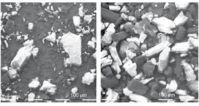 fig. 1  Cristalli di bicarbonato di sodio (immagine da: 