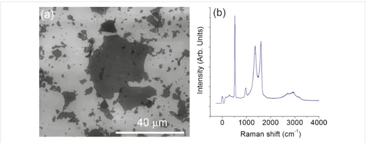Figure 1: SEM image (a) and Raman spectrum (b) of the GO platelets deposited on SiO 2 /Si wafer.