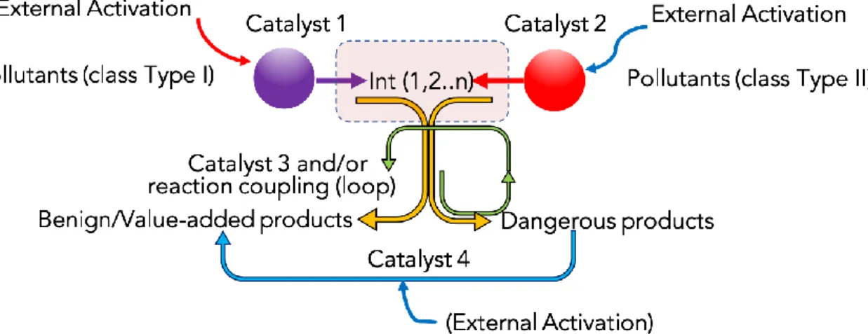 Figure 10. Scheme representing an example of systemic catalytic cycles based on synergistic interactions among different 
