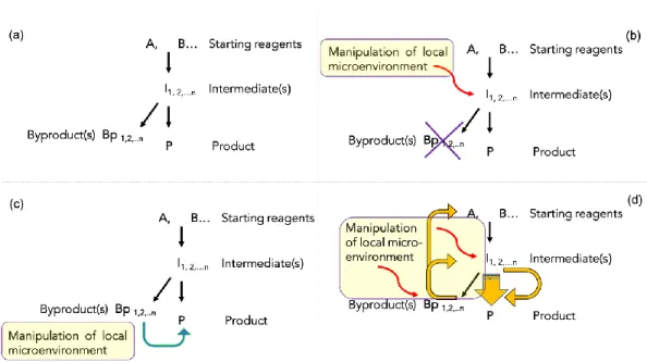 Figure 2. Schemes of different catalytic strategies utilized to promote selectivity and yield of a given process: (a,b) systemic 