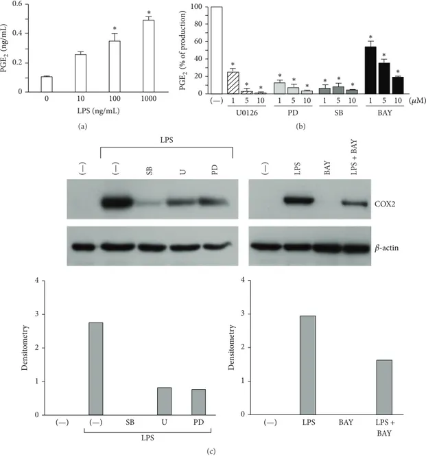 Figure 2: The release of PGE 2 by DCs depends on the activation of the MAPK and NF-