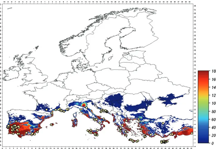 Figure 1. Spatial distribution of the simulated B. tabaci population pressure in Europe, starting from an initial condition of 0.1 individuals plant −1 on 1