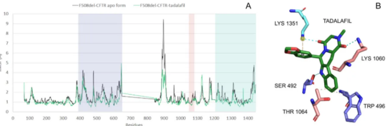 Fig. 4. RMSF and binding mode interactions for tadalaﬁl complex. (A) C a comparison between F508del-CFTR apo form and complexed with tadalaﬁl