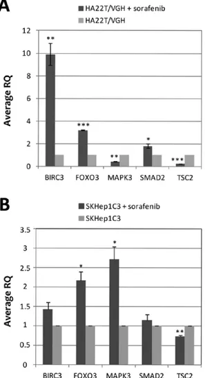 Figure 6. Evaluation of mRNA expression by RT-qPCR in sorafenib treated  and untreated HCC cells