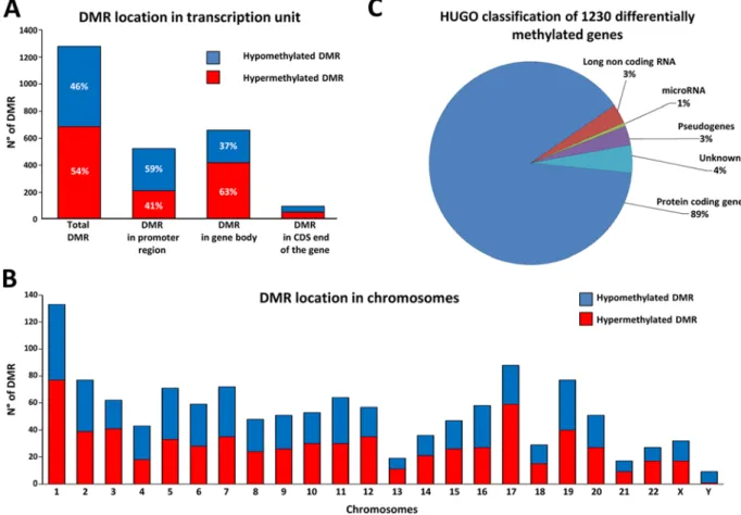 Figure 2. Differentially methylated regions (DMR) and associated genes in HA22T/VGH cells treated with sorafenib