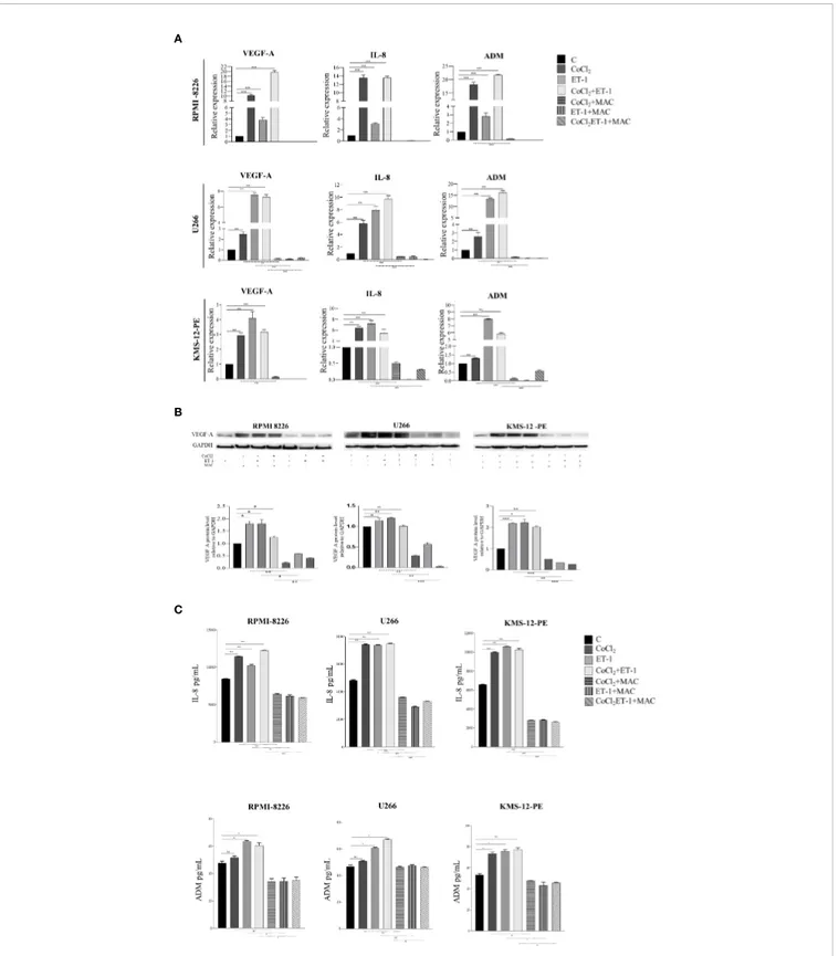 FIGURE 5 | Macitentan inhibits pro-angiogenic cytokine gene transcription and protein production/release