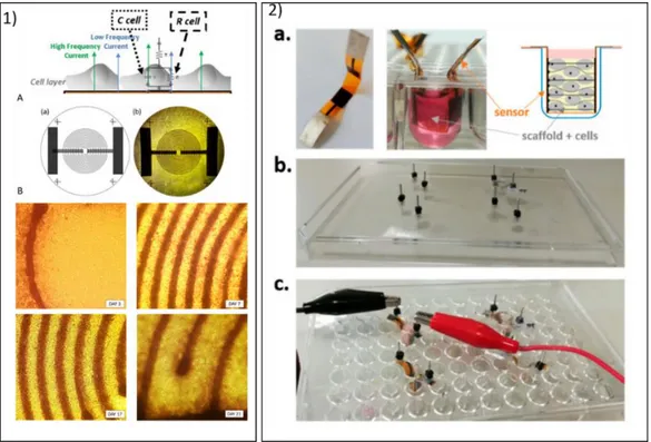 Figure 3. Example of how aerosol jet printing (AJP) biosensors fabricated with organic carbon-based  ink  designed  to  enable  long-term  noninvasive  monitoring  of  cell  cultures:  (1)  example  of  interdigitated  carbon-based  electrodes  customized 