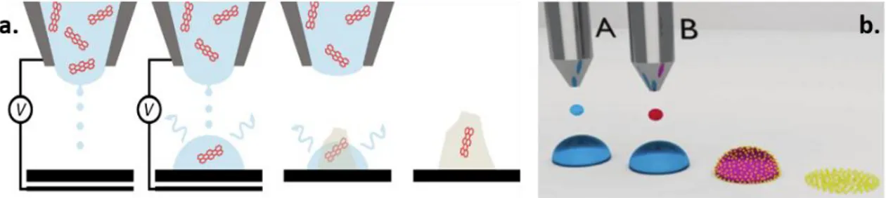 Figure 2. Two examples of strategies to enable finest control of nanostructure printing: (a) a schematic  of the main steps of on-demand electrohydrodynamic dropwise deposition, solvent evaporation and  crystallization,  capturing  a single  molecule in  t