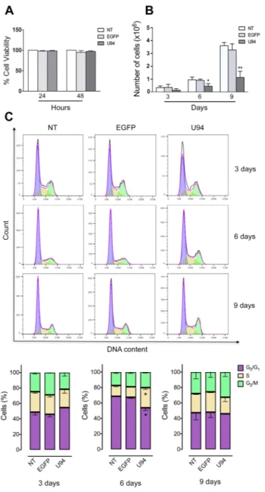 Figure 2: U94 expression inhibits cell proliferation and transiently arrests cells in S-phase