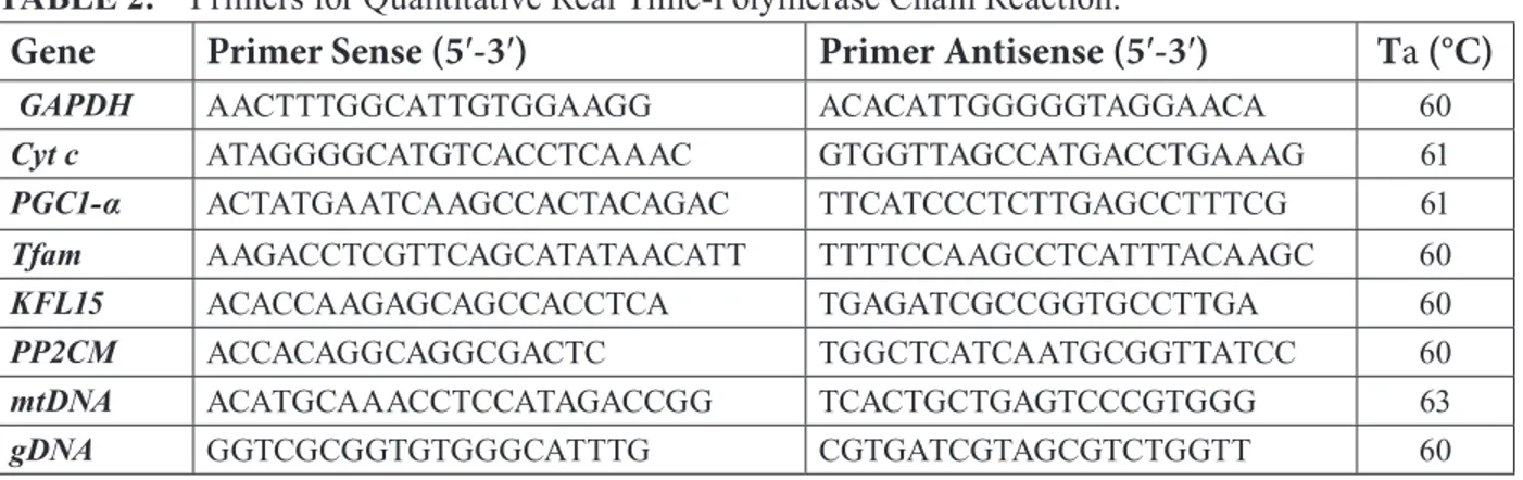 TABLE 2.  Primers for Quantitative Real Time-Polymerase Chain Reaction.