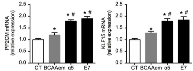 FIG 3.  PP2CM  and  KFL15  mRNA  in  HL-1  cardiomyocytes  treated  with  1%  mixtures  for  48  h