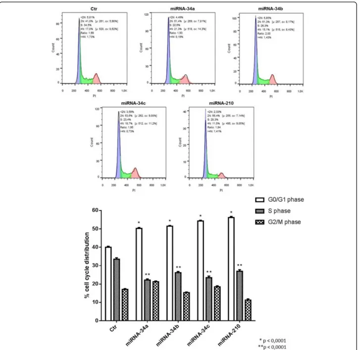 Fig. 7 Cell cycle analysis of IMR-32 neuroblastoma cell line. Cell cycle analysis, by Flow Cytometer, of IMR-32 cells after 3 days of miRNAs transfection