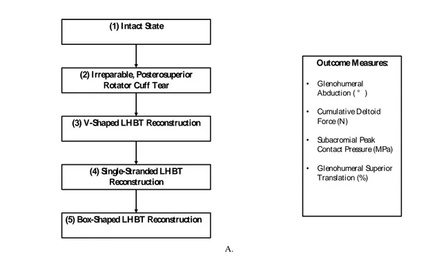 Figure 2. Flowchart displaying the A. five testing conditions and B. four outcome measures  