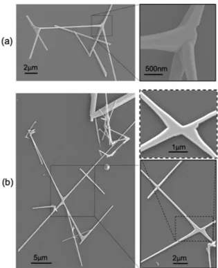 Figure 1. (a,b) Scanning electron microscopy (SEM) images of multi-branched SnO 2  NWs