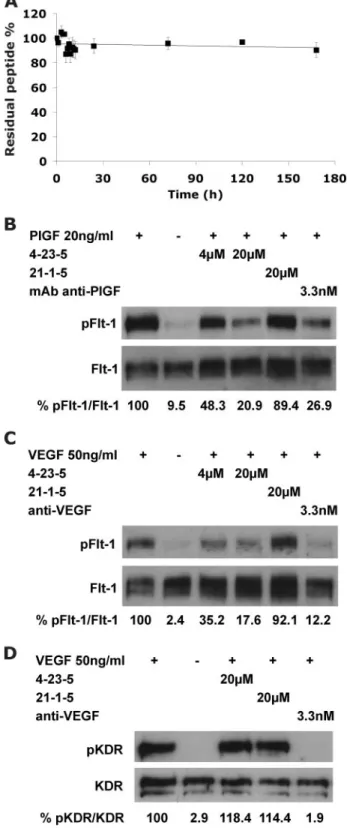 FIGURE 4. Stability and neutralizing properties of peptide 4-23-5. A, the resistance to enzyme degradation of the selected peptide was assessed by incubation in 10% fetal calf serum for 168 h