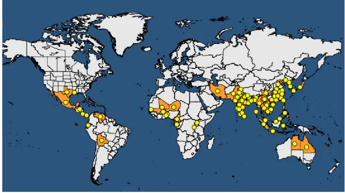 Figure 1: Global distribution map for Xanthomonas oryzae pathovar oryzae (extracted from the EPPO Global Database accessed on 31 October 2017)