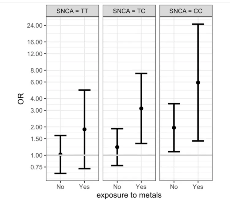 FIGURE 1 | Conditional ORs of having PD depending by SNCA rs356219 and metal exposure (fixing the other covariates values at reference value) estimated from the multinomial regression