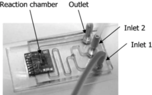 Fig. 12 Liquid test cell made using poly(dimethylsiloxane) (PDMS). Rep-