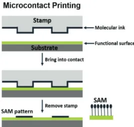 Fig. 18 Microcontact printing of a SAM using a polydimethylsiloxane