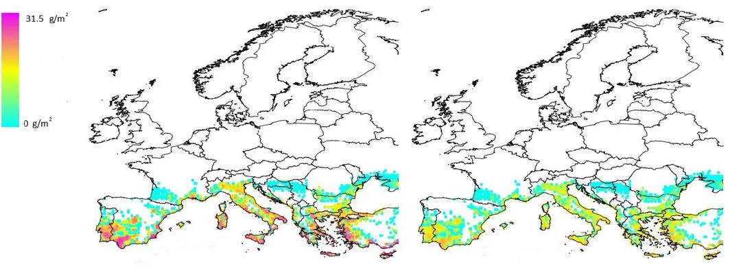 Figure 7:   Distribution of realised biomass (g/m²) of Pomacea canaliculata juveniles + adults over Europe estimated with a time horizon of 5 years for two  scenarios,  obtained  by  multiplying  the  potential  biomass  by  the  limits  of  the  95 %  con