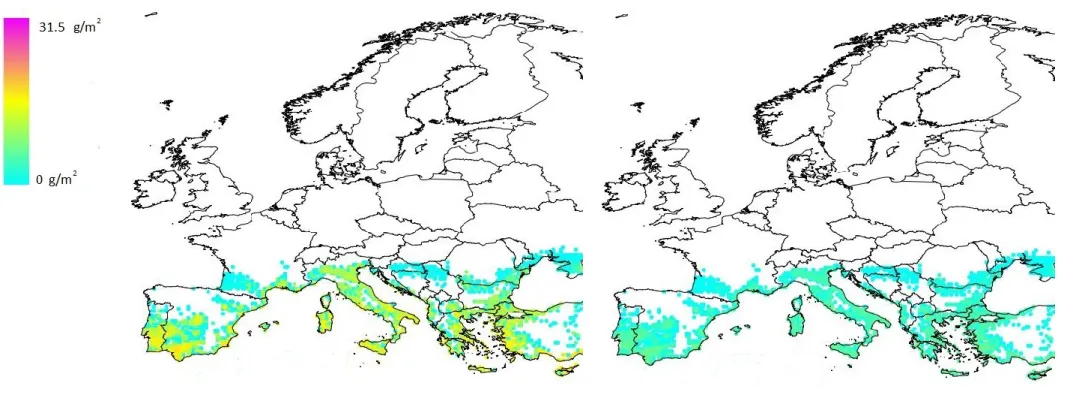 Figure 8:   Distribution of realised biomass (g/m²) of Pomacea canaliculata juveniles + adults over Europe estimated with a time horizon of 30 years for two  scenarios,  obtained  by  multiplying  the  potential  biomass  by  the  limits  of  the  95 %  co