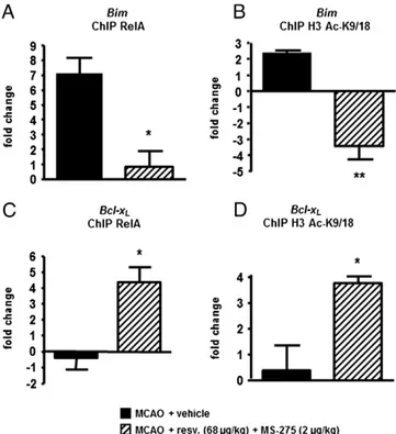 Fig. 7. ChIP analysis of RelA and histone H3 acetylation (K9/18) on the pro-apoptotic Bim promoter (A and B) and the Bcl-x L promoter (C and D)