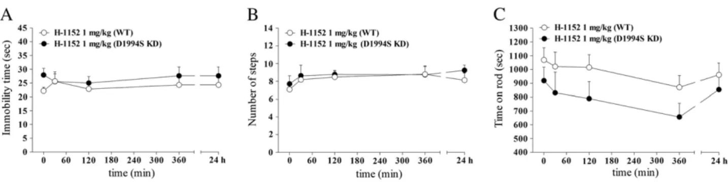Fig. 5. The LRRK2 kinase inhibitor H-1152 did not affect motor activity in mice carrying a LRRK2 mutation (D1994S) that silences kinase activity (kinase dead; D1994S KD)