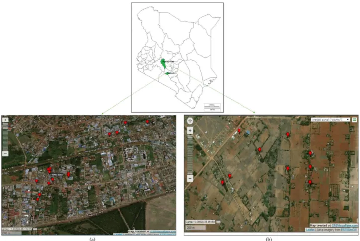 Figure 1. Google maps of the two sampling sites (a) N’gando—Urban infomal settlement (b) Leshau Pondo—Rural village and their position in Kenya.
