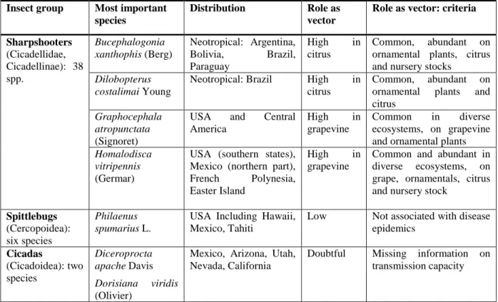 Table 3:  Vectors of X. fastidiosa  in the Americas: main insect groups and most important vector  species 