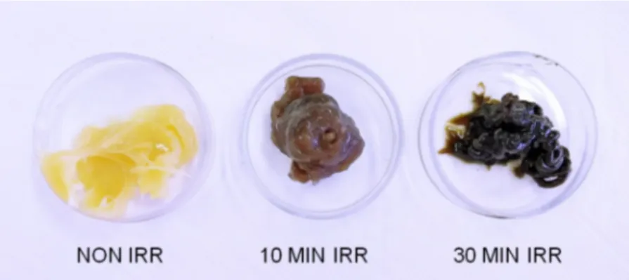 Fig. 11. Petamo GHY 133 N grease samples. From left to right: an unirradiated sample, a sample irradiated at 0.15 MGy (10 min irradiation) and a sample irradiated at 0.44 MGy (30 min irradiation)