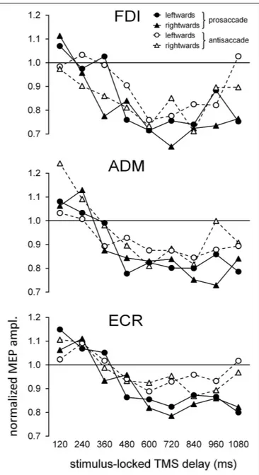 Figure 2 depicts, for each recorded muscle, the mean MEP amplitudes (normalized to the baseline value within each subject) as a function of time epoch of TMS pulse, type of ocular response and direction of gaze shift